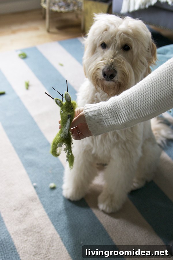 Jack the Goldendoodle - Dog Shaming