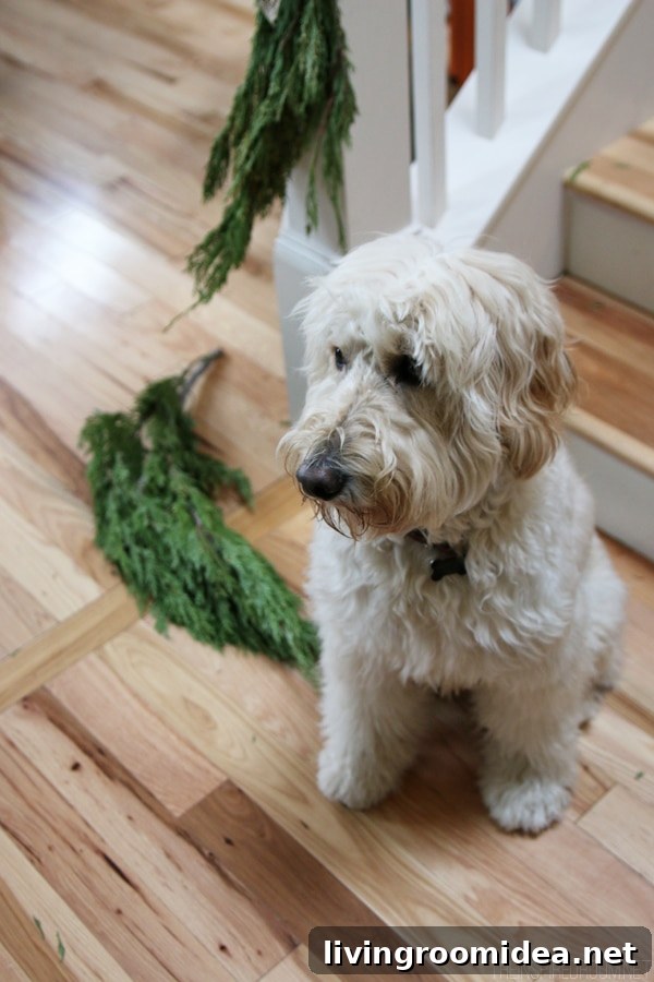 Christmas Unraveling - The Inspired Room - Jack the Goldendoodle