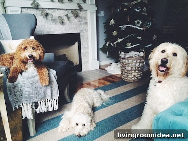 Warm Christmas Wishes from Our Home to Yours 4 The Inspired Room Christmas - Jack Lily Bella Labradoodles and Goldendoodles