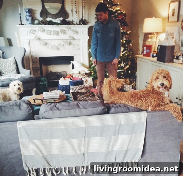 Merry Christmas from Our Home to Yours — Warm Holiday Wishes 5 The Inspired Room Christmas - Pups