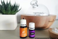 Natural Home Fragrances for Well-Being: Scents That Comfort