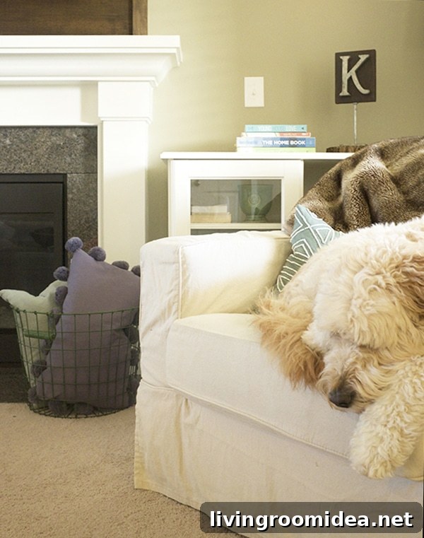 living room with goldendoodle