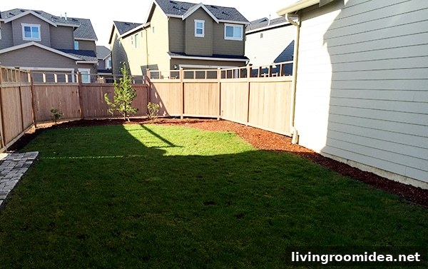 Backyard- before