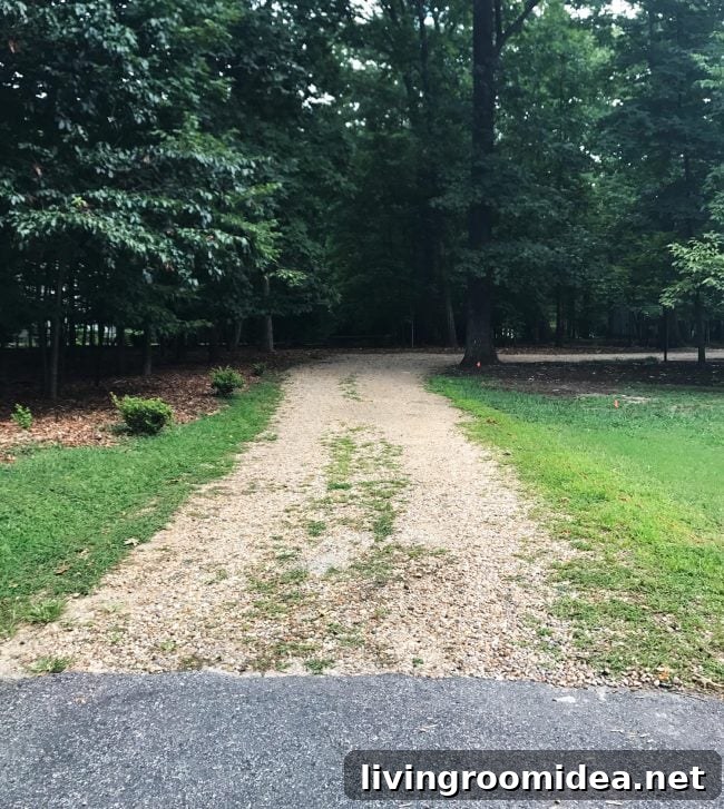 Weeds at driveway before paving