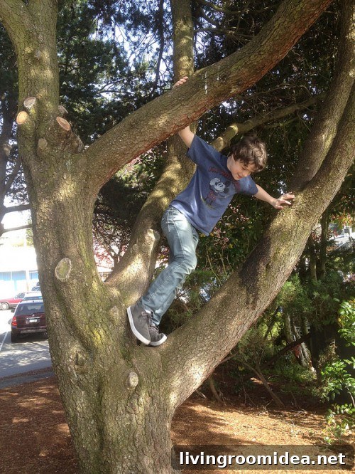 climbing trees
