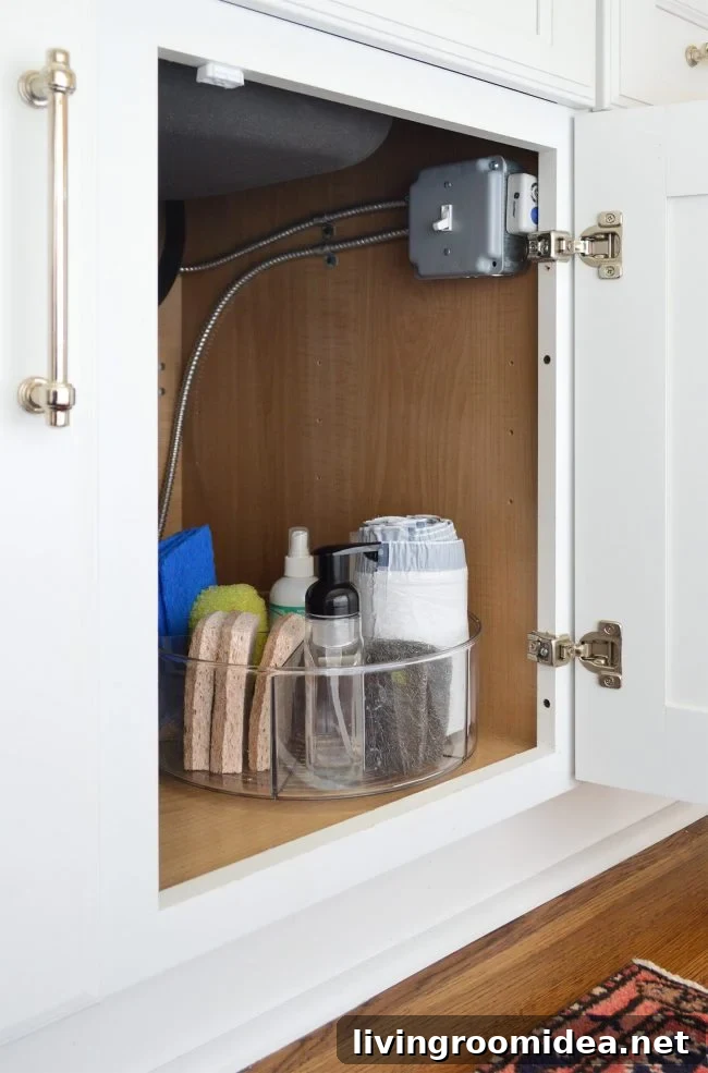 Organized cleaning supplies on divided turntable
