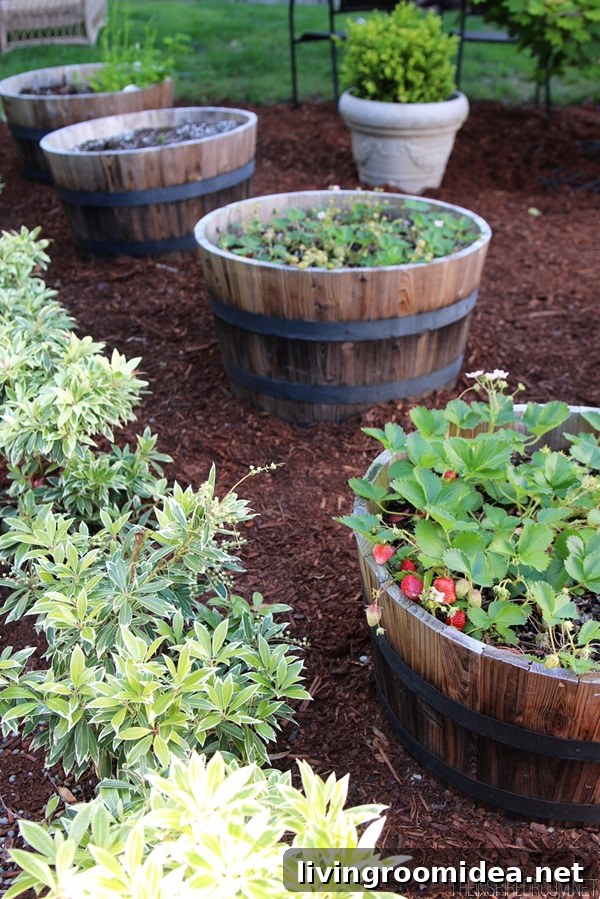 Strawberry Barrel Garden - The Inspired Room