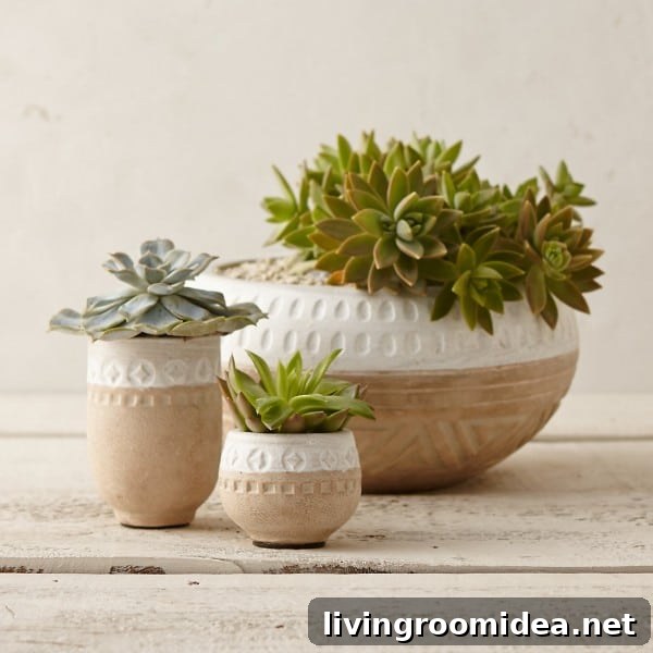 Design Elements Every Home Needs - Natural Elements - The Inspired Room blog