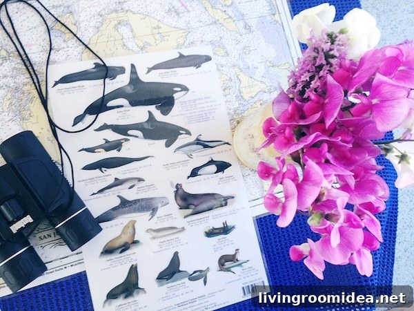 Whale Watching in Port Townsend - The Inspired Room