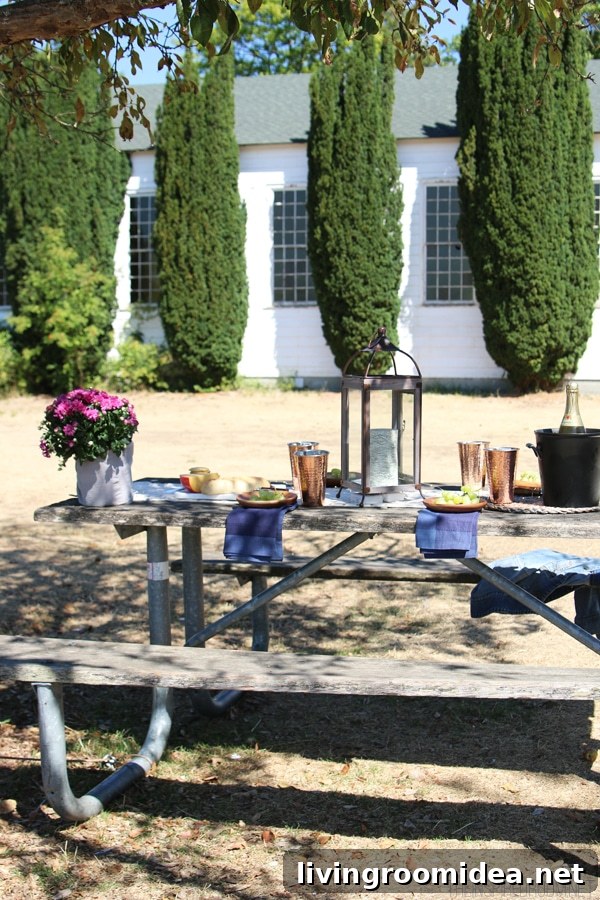 Picnic Table Party - The Inspired Room blog