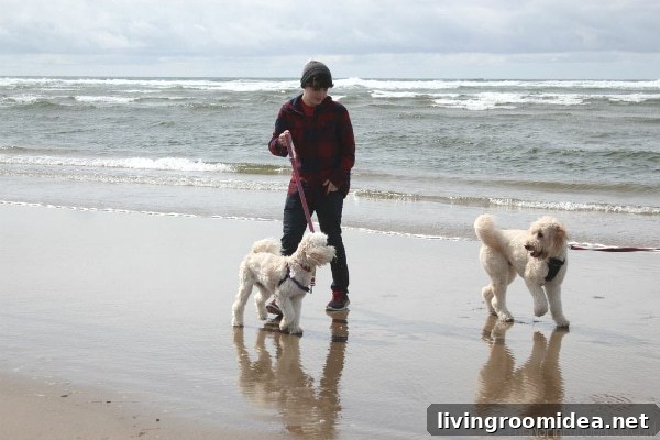 Cannon Beach Jack Lily & Luke