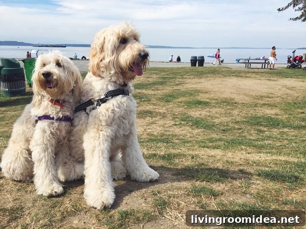 Jack and Lily at the Beach