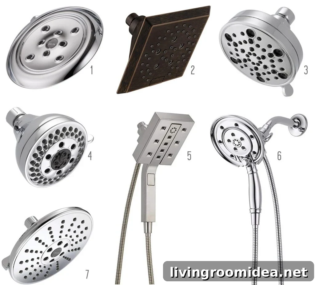 Shower head options