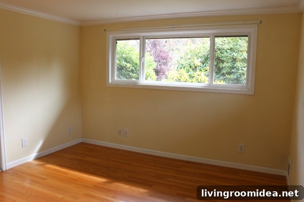 Master Bedroom Window - Before