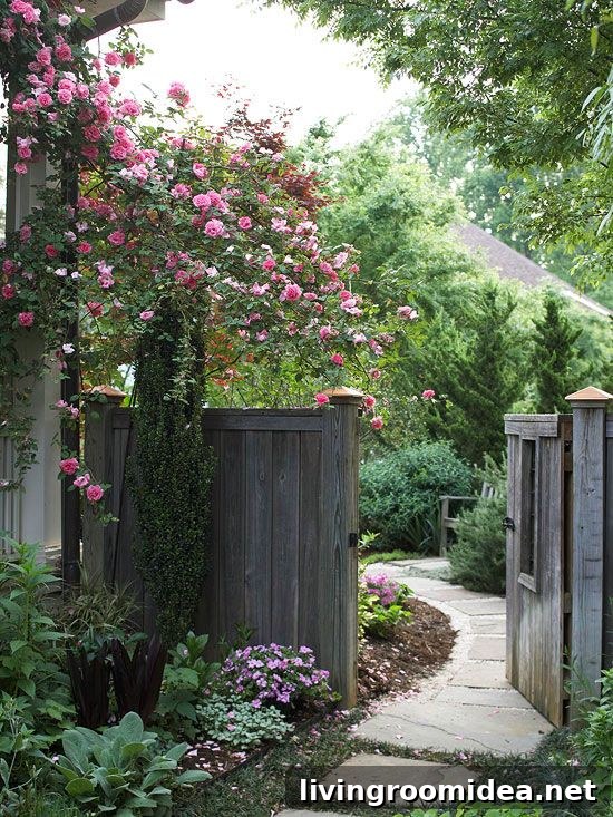 Small Side Yard with Fence