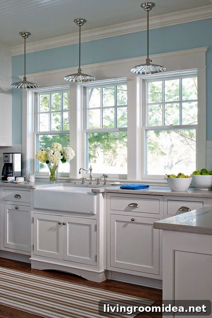 Kitchen Windows at Counter Height - Liz Firebaugh of Signature Kitchens