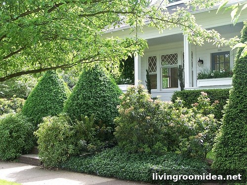 Front Yard shrubs - The Inspired Room
