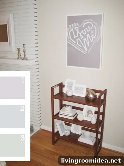Painted Bookcase Options