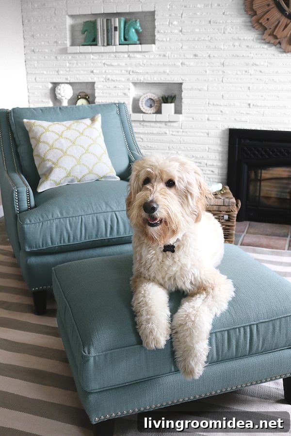Spring Home Refresh with Birch Lane: Stylish Decor Ideas 4 Jack the Goldendoodle - The Inspired Room