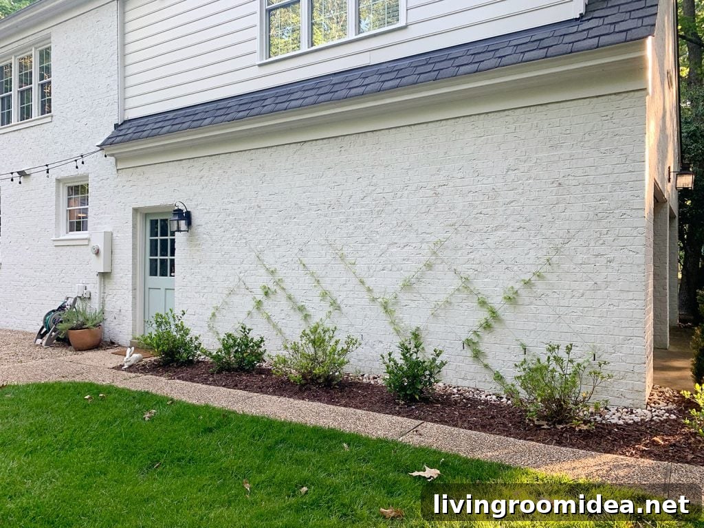 DIY wire vine trellis on white brick home