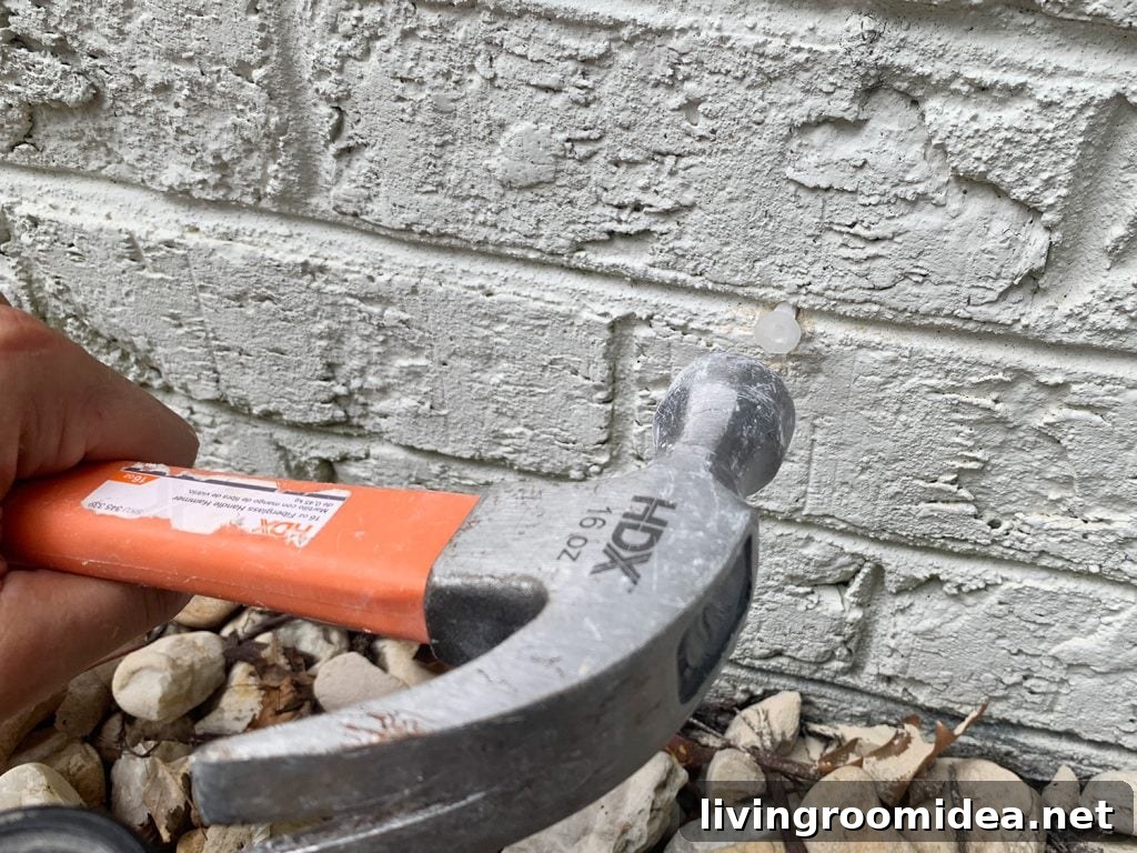 Hammering Anchor Into Brick Wall For Vine Trellis