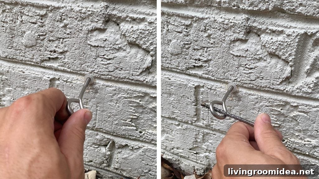 Screwing Vine Trellis Hooks Into Brick Wall
