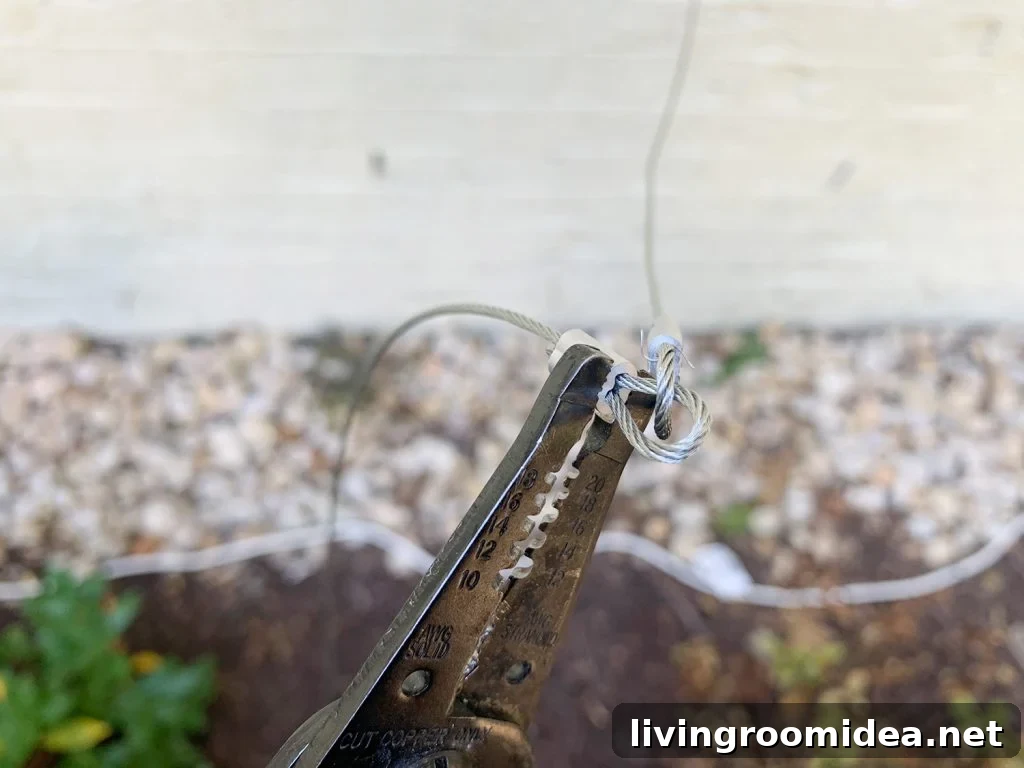 Crimping Wire Ferrule Two Loops