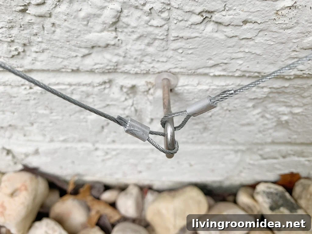 Two Wire Ends Looped On Eye Screw