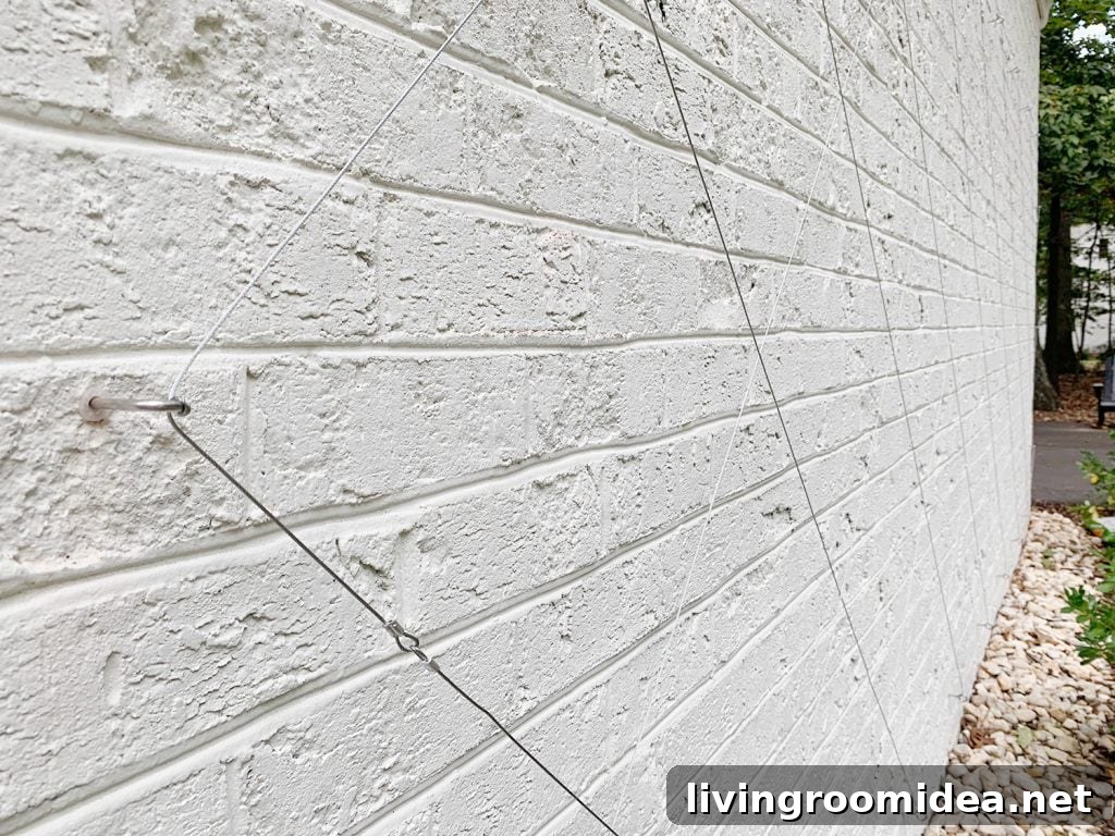 Finished Wire Trellis On White Brick Wall