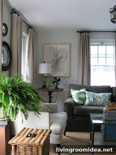 living room with fern