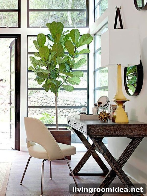 Greenery and Plant Decor Ideas for Stylish Indoor Spaces 13 Fiddle Leaf Fig Tree - Office