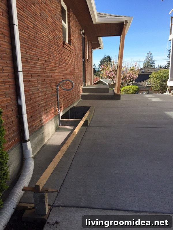Side Yard