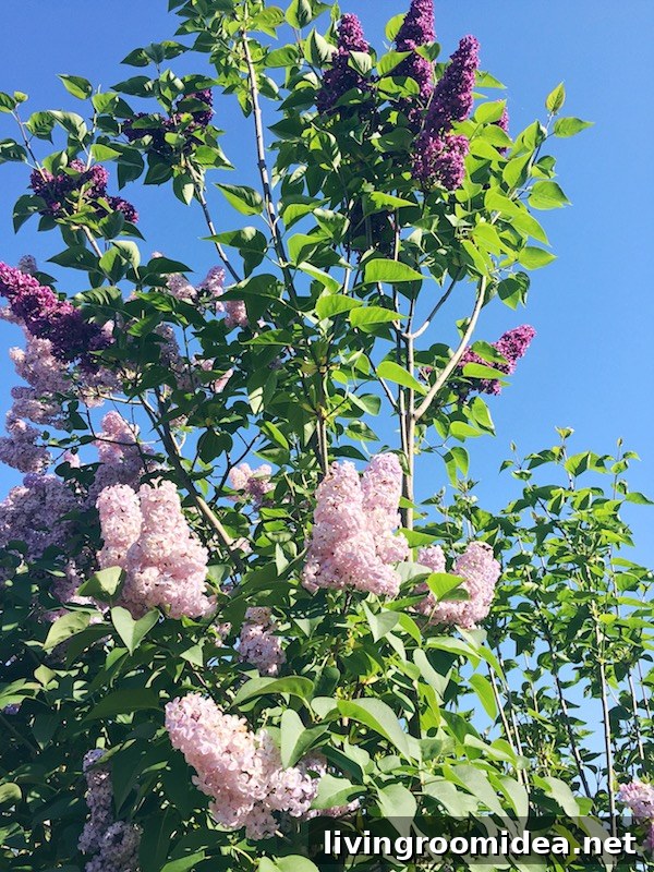 Outdoor Daybeds Inspired by Nature: Stylish Picks for Your Patio 5 Lilacs - The Inspired Room blog