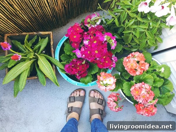 Small Balcony Makeover Ideas for Townhouse Renovations 4 balcony garden