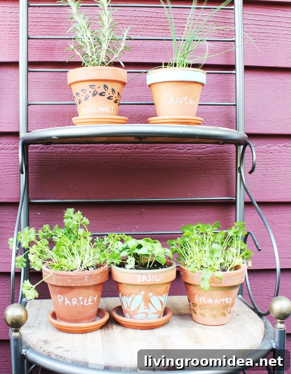 Small Balcony Makeover Ideas for Townhouse Renovations 9 Small balcony herb garden