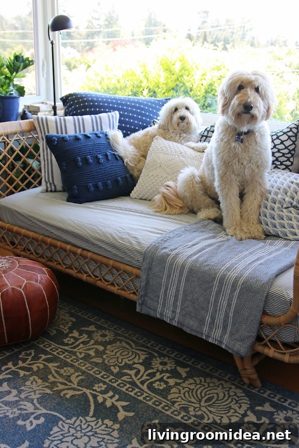 Rattan Daybed: Cozy Window Corner for Relaxing Views 13 Jack the Goldendoodle and Lily the Labradoodle - Rattan Daybed - The Inspired Room