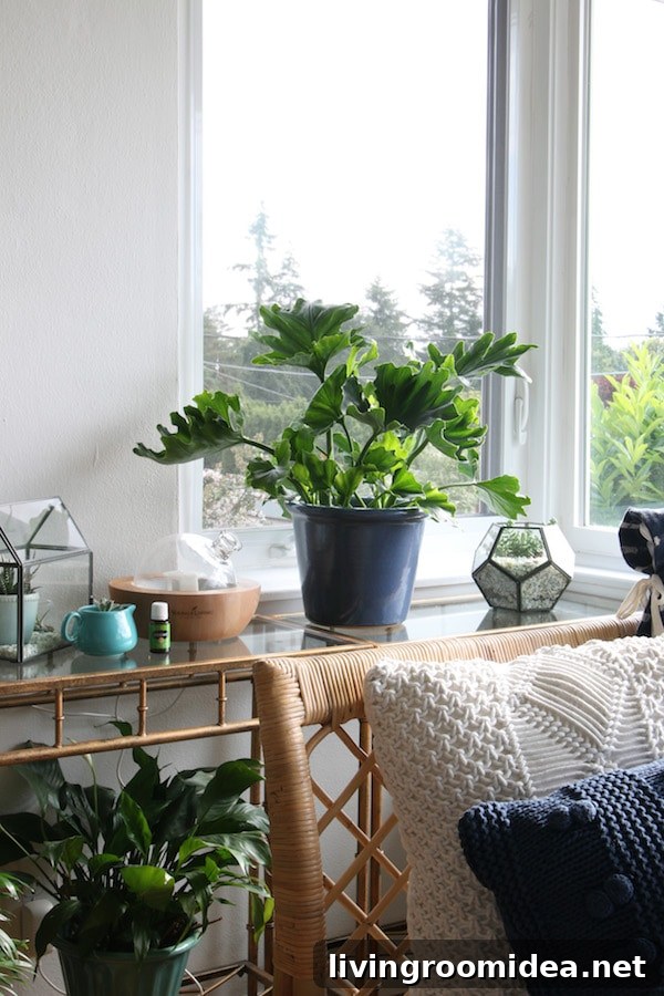 The Inspired Room - Plant Stands