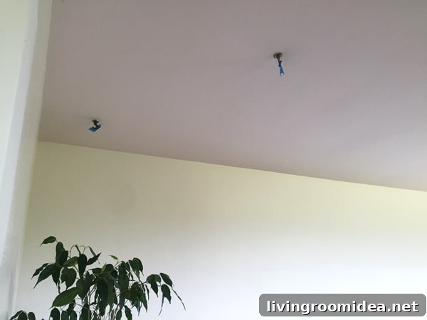 Farewell to Pigs and Hogs: Understanding the Difference 3 Pink Ceiling - Before