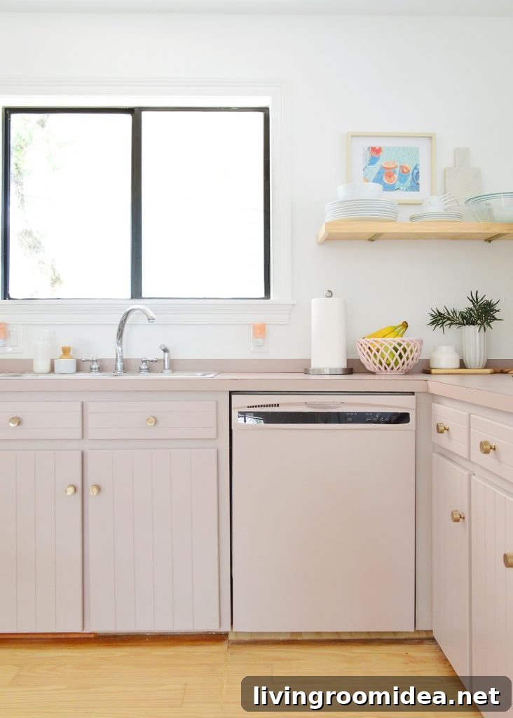 Dishwasher painted mauve to match kitchen cabinets | Sherwin Williams Artsy Pink