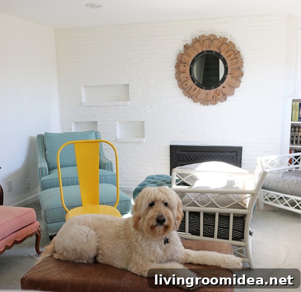 The Inspired Room - Painting the Basement - Jack the Goldendoodle