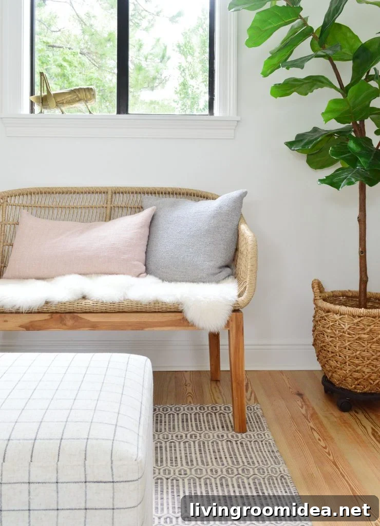Front View Of Woven Bench With Fluffy Base Pillows And Fig Tree