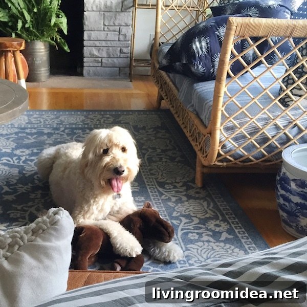 5 Practical Tips to Deep Clean Your Home and Nurture Your Nest 4 Jack the Goldendoodle - The Inspired Room