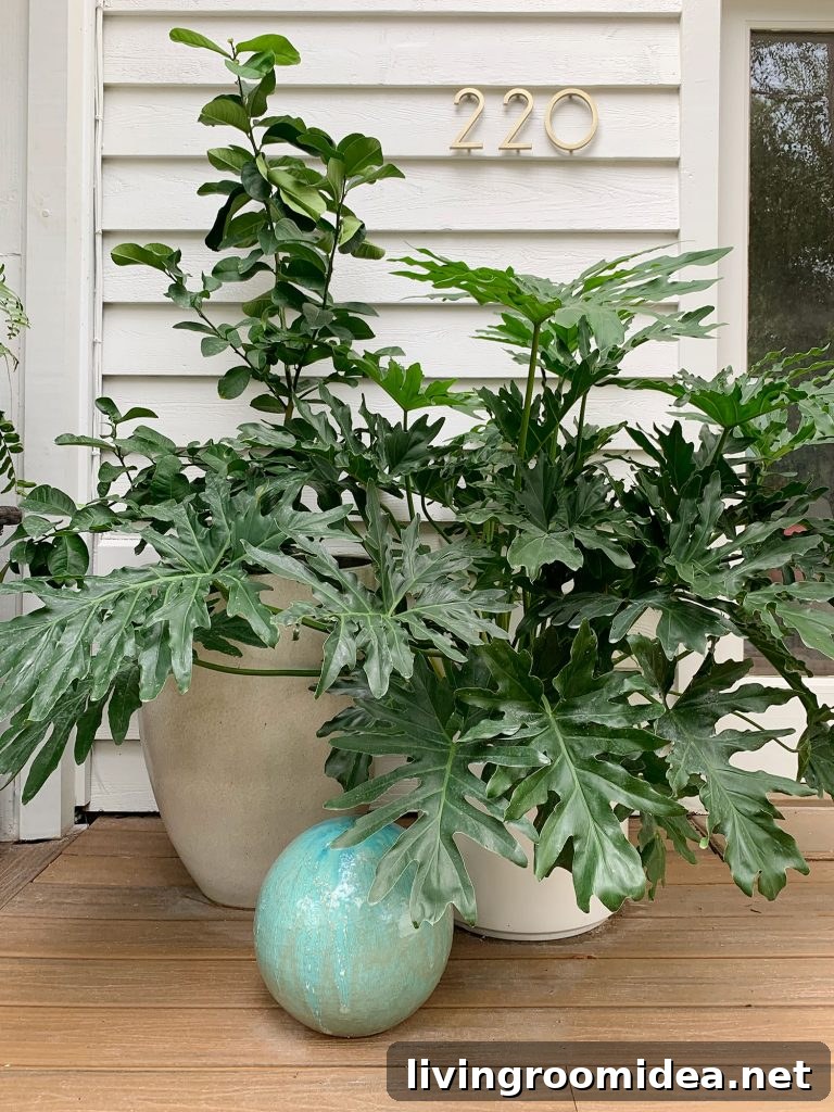 Oversized Plants In Large Planters On Front Porch
