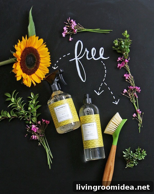 Free Grove Collaborative Products 