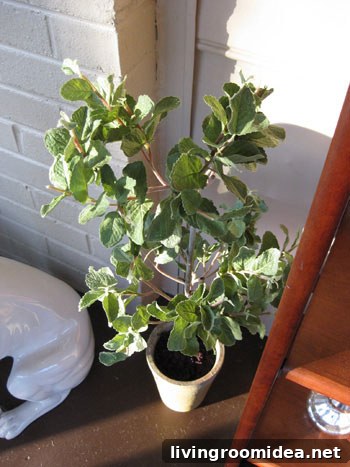 faux-fake-mint-topiary faux-fake-mint-topiary