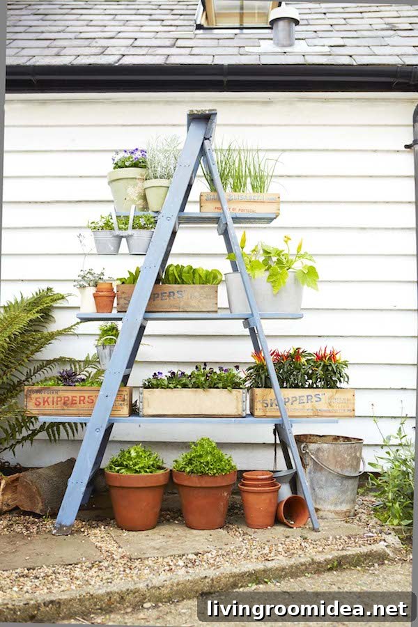 Ladder Garden - Small Space Plant Stand Backyard Idea