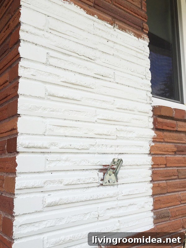 Meet Leo and Discover Our Next Project 8 Painted White Brick