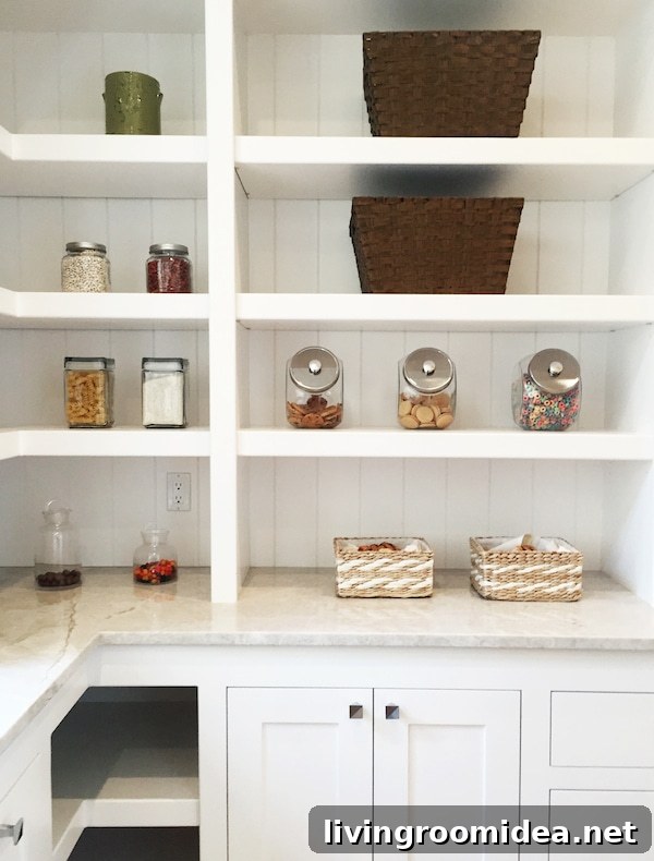 Dreams Avenue: Street-Inspired Design Ideas for Your Home 6 butlers-pantry-shelves-street-of-dreams
