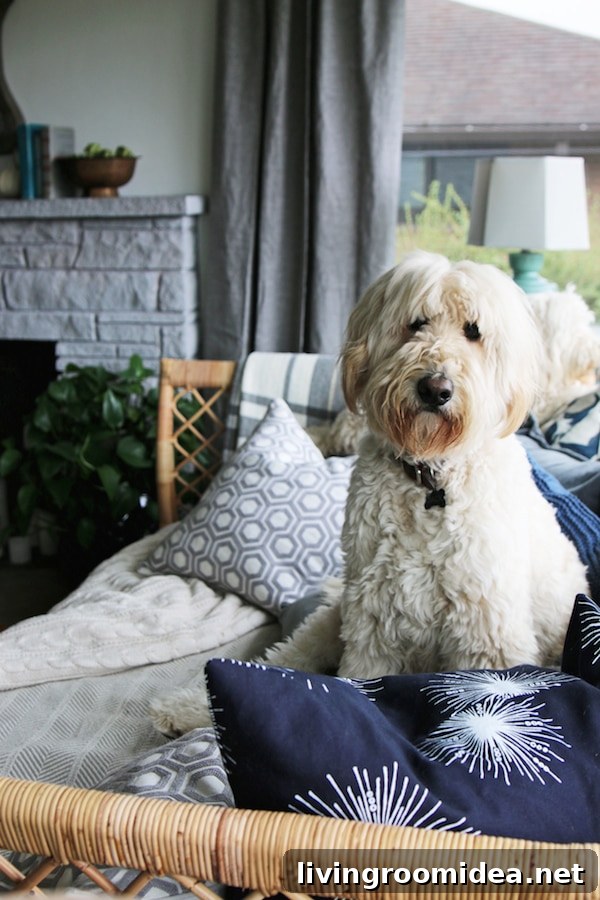 Jack the Goldendoodle / Click through to see a fall house tour of this small white brick cottage with eclectic coastal farmhouse style. 
