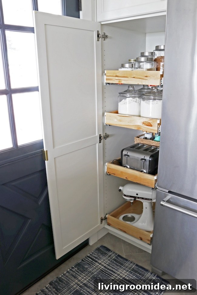 Slide-Out Pantry Drawer Ideas for Organized Kitchens 12 img 98288 11 1